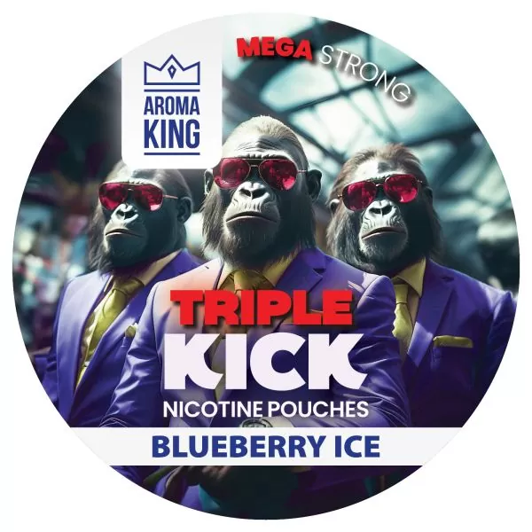 Снюс NoNic Aroma King Blueberry Ice 100 mg
